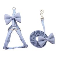 Cat and Dog Collar Adjustable Cute Bowknot Dog Harness Small and Medium Pet Collar Traction Rope Outdoor Walking