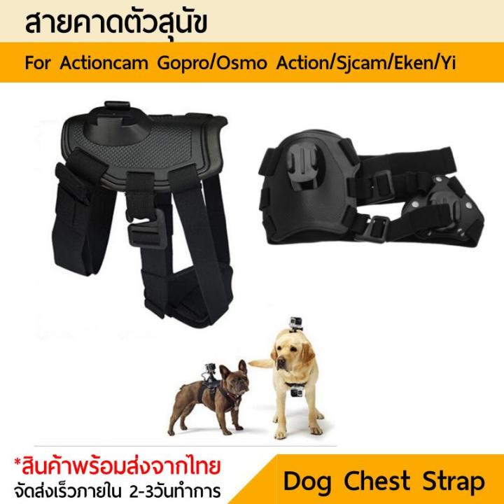เมาท์โกโปรติดหลังสุนัข Dog Chest Strap Belt Mount Gopro  Actioncam