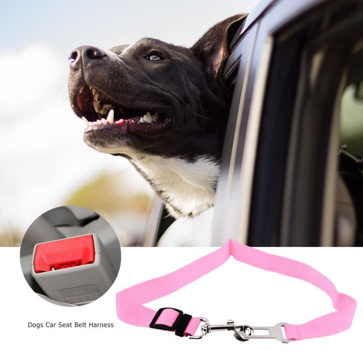 loose-สุนัข-เข็มขัดนิรภัยในรถยนต์-เชือกนิรภัยสำหรับสัตว์เลี้ยง-เชือกลากรถ-เข็มขัดนิรภัยในรถยนต์-เชือกดึงเบาะหลัง