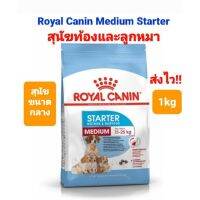 Royal Canin Medium Starter 1kgโรยัล คานิน สำหรับ สุนัขท้อง และลูกสุนัข พันธุ์ขนาดกลาง ขนาด 1 กิโลกรัม