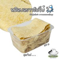 หมึกบดขาวจัมโบ้ เนื้อนุ่มเต็มคำ หวานหอมเนยเต็มพุง : รส อบเนย  ( ถูก อร่อย ส่งไว✨ ) ! ALL LOCAL