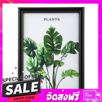 ส่งฟรี เก็บปลายทาง กรอบรูป PTS PLANTS 6x8 นิ้ว สีดำ ส่งจากกรุงเทพ ส่งเร็ว