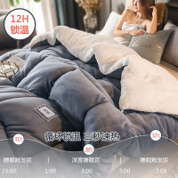 Lamb wool soft warm comforter winter thickened warm keeping quilt dormitory student autumn quilt core space bedding blanket