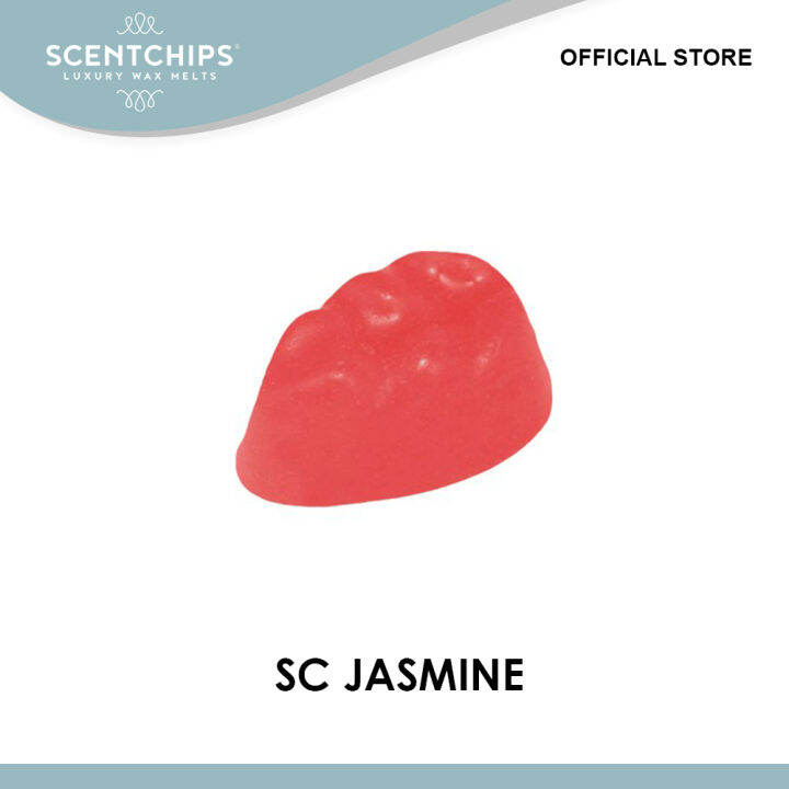 SCENTCHIPS Fragrance Chips 80 Grams Lazada PH