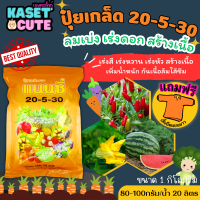 ? แถมฟรีเสื้อ 1 ตัว แนนซี่ 20-5-30 (ปุ๋ยเกล็ดผง) เพิ่มปริมาณแป้ง เพิ่มความหวาน เพิ่มขนาดและสีสัน (1กิโลกรัม)