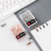 Fizz Metal Paper Clip Office Supplies Creative Color Stationery Rose gold Silver Folder File Folder Pin Bookmark Creative Cute