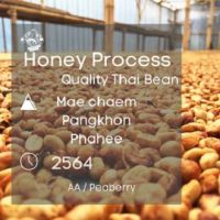 สารกาแฟปางขอน อาราบิก้า100% Honey process Process size: A-AA