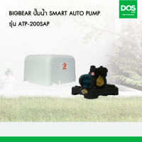 Big Bear ปั๊มน้ำอัตโนมัติ SAP Series รุ่น ATP-200SAP