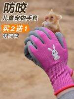 High-end Original Buy 2 get 1 free cartoon childrens pet hamster parrot anti-bite gloves for students gardening weed digging latex housework