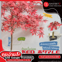 GadgetZ ต้นเมเปิ้ลแดง red maple งานพรีเมี่ยม สูง 1.5 เมตร พร้อมกระถาง สไตล์ญี่ปุ่น มินิมอล ต้นเมเปิ้ลปลอม เหมือนจริงมาก สำหรับตกแต่งบ้าน?