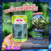 คะน้ายอดไต้หวัน 100 กรัม ?  เมล็ดพันธุ์ ตราศรแดง คะน้า คะน้ายอด เมล็ดพันธุ์ผักสวนครัว เมล็ดคะน้า อัตราการงอกสูง