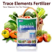 100G Water Soluble Trace Elements Boron Magnesium Iron Zinc Potassium Fertilizer For Grape Watermelon Fruit Etc