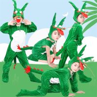 Animal clothes childrens kindergarten children Xiaolongren costumes Xiaoqinglong parent-child stage drama