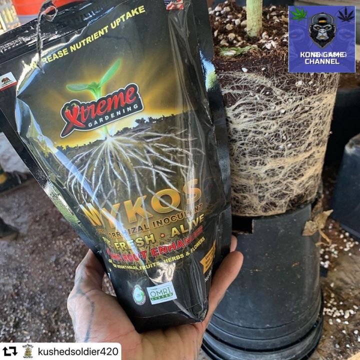 ready-stock-ผงเร่งราก-mykos-xtreme-gardening-แบบถุง-2-2lb-998g-แท้-100-จาก-usa-ผง-ระเบิดราก-เร่งโต-เร่งดอก-น้ำยา-ผงเร่ง-เร่งรากมีบริการเก็บเงินปลายทาง