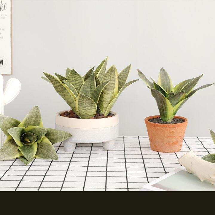 ayiq-flower-shop-พืชเทียม-sansevieria-บอนไซตกแต่งพลาสติกปลอมใบทะเลทราย-succulents-พืช-agave-โฮมออฟฟิศสวน-decors