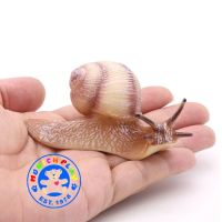 Munich Play - โมเดลสัตว์ Snail หอยทาก ครีม ขนาด 9.00 CM (จากหาดใหญ่)