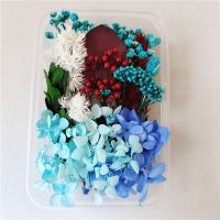 Epoxy Resin Jewelry Making Craft Dried Flowers Candle Making - 1 Box Real Dried - Aliexpress