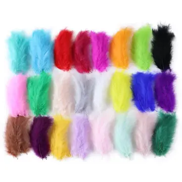 Colourful Feathers For Craft - Best Price in Singapore - Jan 2024