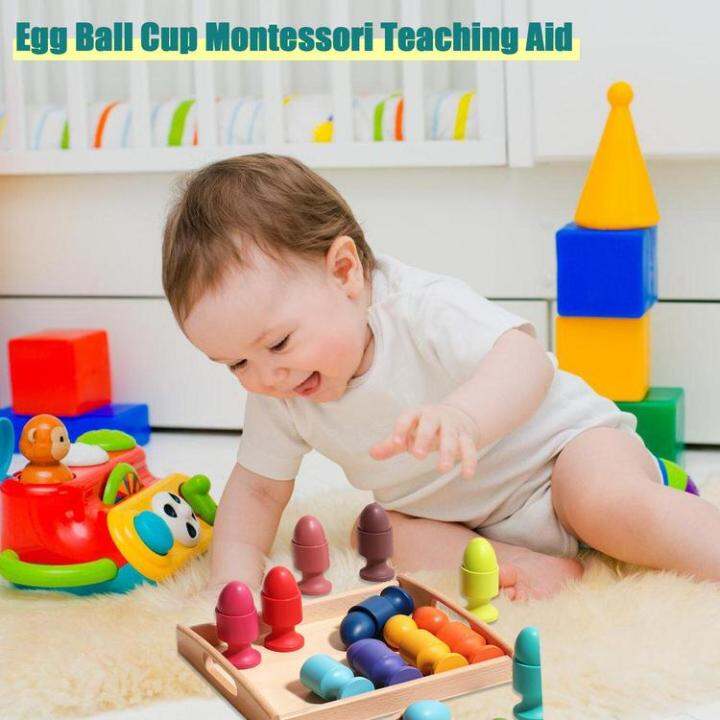 montessori-egg-cup-color-sorting-toys-parent-child-interactive-early-learning-toy-to-improve-hands-on-ability-montessori-educational-toys-for-boys-and-girls-diplomatic