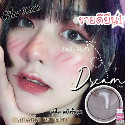 🔥ขายดีที่1 มีค่าสายตา🔥 Wink Dream Gray Brown Black บิ๊กอาย สุดปัง คอนแทคเลนส์ รายเดือน มีอย แถมตลับฟรี เลนส์นิ่ม