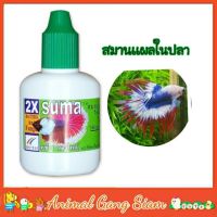 ❗️❗️ SALE ❗️❗️ Suma X2 ซูม่า สำหรับปลากัด สมานแผล รักษาปลากัดถูกกัด แผลเลือด 12ml. !! อาหารเสริม และวิตามิน Supplements &amp; Vitamins บริการเก็บเงินปลายทาง โปรโมชั่นสุดคุ้ม โค้งสุดท้าย ราคาถูก คุณภาพดี โปรดอ่านรายละเอียดก่อนสั่ง