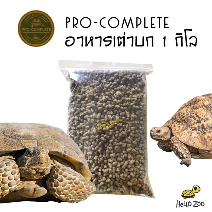 อาหารเต่าบก Pro-Complete โปรคอมพลีท ไม่ต้องแช่น้ำนาน