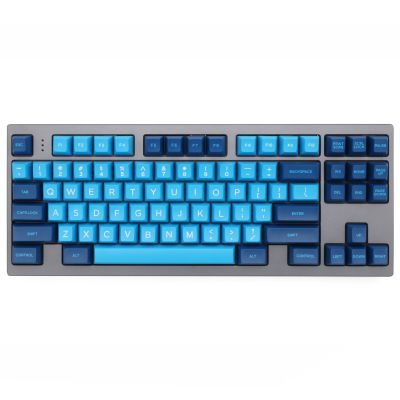Domikey SA abs doubleshot keycap set  Blue Wave SA for mx stem keyboard poker 87 104 gh60 xd64 xd68 xd84 xd87 bm60 bm65 bm68 Basic Keyboards