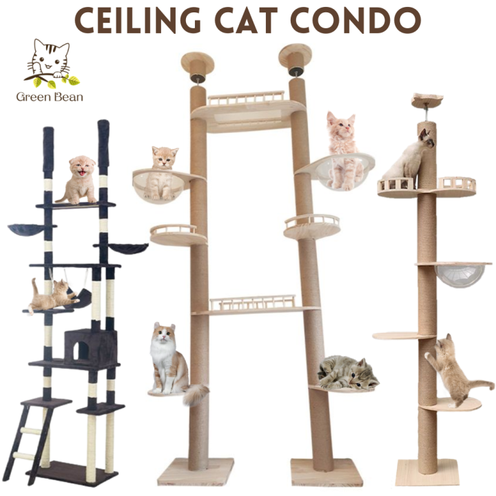 [SG SELLER] Cat Condo Solid Wood Condo Cat Climbing Tree Tower Floor to