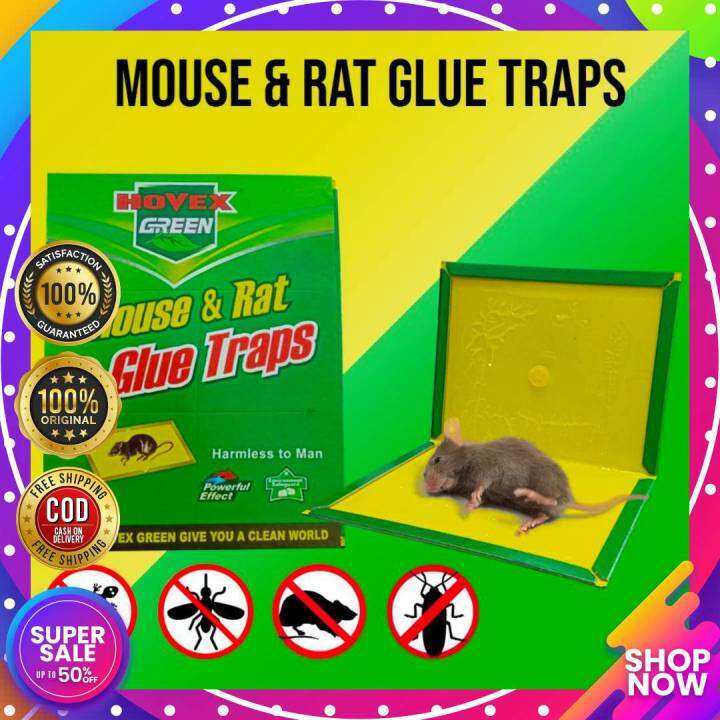 PINAS BEST ORIGINAL COD Mouse and Rat Catcher Glue Trap Rodent Expert ...