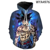 Men Women Children Dragon Sweatshirts Anime 3D Print Pullover Long Sleeve Boy Girl Kids DBZ Hoodies Streetwear Casual Jacket