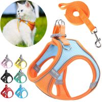 【FCL】№✣ↂ Reflective Chest Things Dog Harness And Leash Set Accessories Adjustable Outdoor Chihuahua Supplies