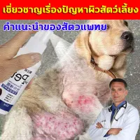❤️แนะนำโดยสัตวแพทย์❤️ยาขี้เรื้อนหมา ยารักษาขี้เรื้อนหมา ยารักษาเชื้อราแมว ยาแก้เรื้อนหมา สเปรย์รักษาหมา ยาเชื้อราแมว ยาขี้เรื้อนหมา หมา ยาทาขี้เรื้อน ยาทาผิวหนังหมา ยารักษาขี้เรื้อนหมารักษาขี้เรื้อน เชื้อรา ยีสต์ ผื่น โรคผิวหนังทุกชนิด ยาแก้ขี้เรื้อน หมา