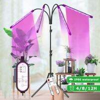 5V USB LED Grow Light LED Plant Light Full Spectrum Phyto Lamp With Tripod Stand For Indoor Vegetable Flower Seedling