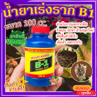 ยาเร่งราก B-1 Multi extra start ? ขนาด  100cc น้ำยาเร่งราก บีวัน ช่วยในการแตกรากพืช กิ่งตอน ปักชำ ย้ายปลูกใหม่ ฟื้นตัวเร็ว?