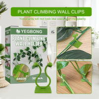 Yegbong Plant Climbing Wall Holder Green Radish Climbing Wall Self-Adhesive Fixed Vine Plant Wall Climbing