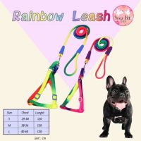 DOG สายรัดอกสุนัข สายจูงสุนัขสายรุ้ง แบบสายกลม สายจูงหมา สายจูง สายรัดอก Rainbow Leash