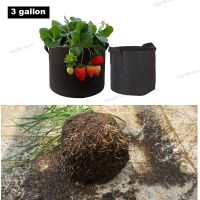 Fabric Grow Bag Felt Plant Bags Planter Growing Container with Handle Vegetable Potato Flower Pot 3 Gallon 25x22cm WB5TH