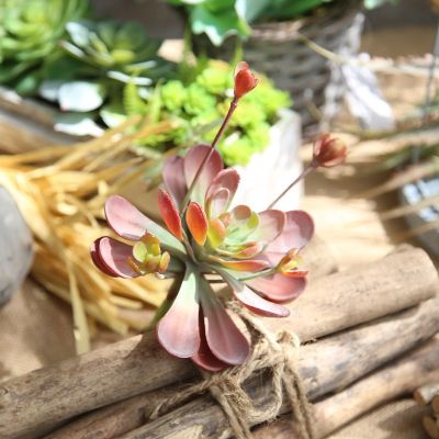 [AYIQ Flower Shop] พืชเทียมสีเขียวกระบองเพชรสัมผัสจริง DIY บ้านสวนงานแต่งงานดอกไม้ตกแต่งผนังอุปกรณ์ถ่ายภาพอุปกรณ์ประกอบฉากอุปกรณ์เสริม