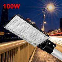 100W 50W Street Lamp 2PCS Flood Light LED Outdoor Lighting Waterproof Wall Lamp 220V Garden Street Lights for Country House