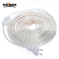 SMD 5050 AC220V LED Strip Flexible Light 60leds/M Waterproof Led Tape LED Light With Power Plug 1M/2M/3M/5M/6M/8M/9M/10M/15M/20M