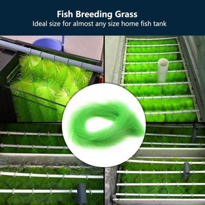 [2023ใหม่] หญ้าเพาะพันธุ์ปลาซม. 60/100บ่อปลา Koi แปรงฟักหญ้าปลาทองตู้อบไข่อุปกรณ์เพาะเลี้ยงสัตว์น้ำ