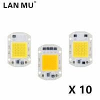 10pcs 110V 220V LED Chip 10W 20W 30W 50W COB Chip No Need Driver LED Lamp Beads ​for Flood Light Spotlight Lampada DIY Lighting