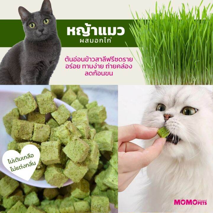 หญ้าแมวฟรีซดราย-หญ้าล้วน-และผสมไก่-ลดก้อนขน-มีวิตามิน-อัดเม็ด-ขนมสัตว์เลี้ยงหมาแมว-ทรีทแมว-ทรีทสุนัข-momopetsโมโมเพทส์จากต้นอ่อนข้าวสาลี