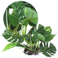 Artificial Green Fake Plastic Plant Plastic Aquarium Ornament Fish Tank Decor