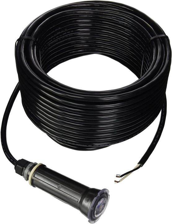 602055 Pentair Globrite Underwater Pool Light 12V 100