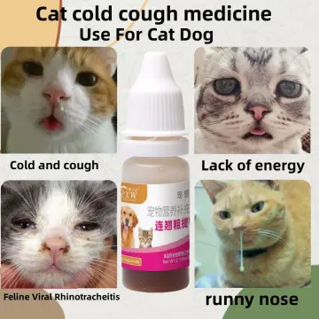 Cat store cough medicine