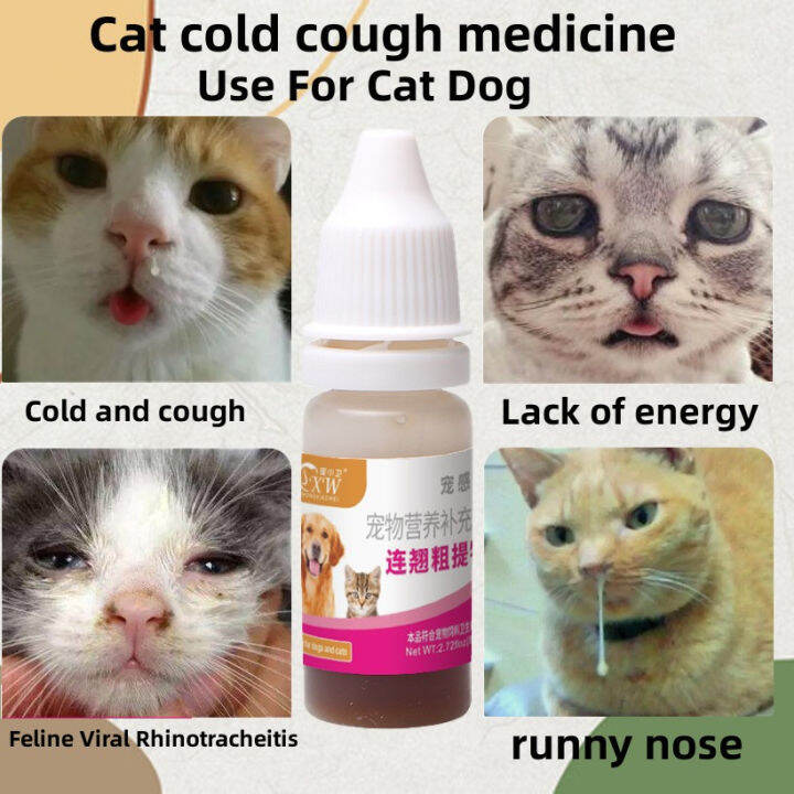 8ML Pet Medicine for Colds and Cough Dog and Cat Anti Fever Medicine ...