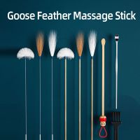 Ear Dig Tools Goose Feather Earpick Wax Remover Curette Adult Spoon Cleaner Stick Bamboo Handle Pick Massage Set Earwax Kits