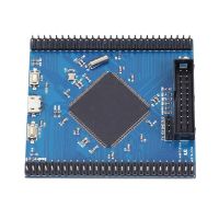 【✆New✆】 fuchijin77 แขนกระดาน Stm32f4บอร์ดพัฒนา Cortex-m4สำหรับการเรียนรู้กระดานหลักของ Stm32f429