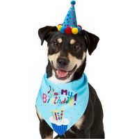 Dog Cat Birthday Party Decoration Birthday Hat and Scarf Puppy Birthday Bandana Set